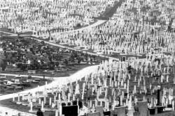 Portraits of dead people, capturing the span of life: surname, firstname, years of birth and death.
Photos triggering anger and sorrow, expressing memories.