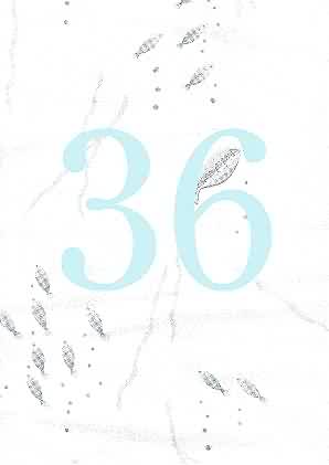 Image of 36