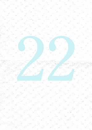 Image of 22