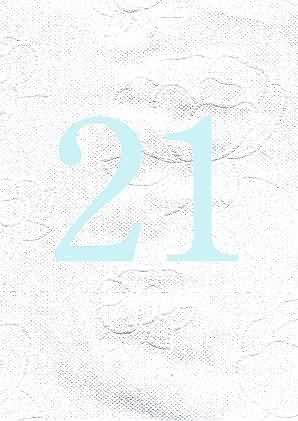 Image of 21