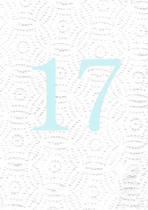 Image of 17