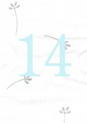Image of 14