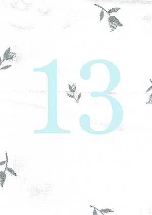 Image of 13
